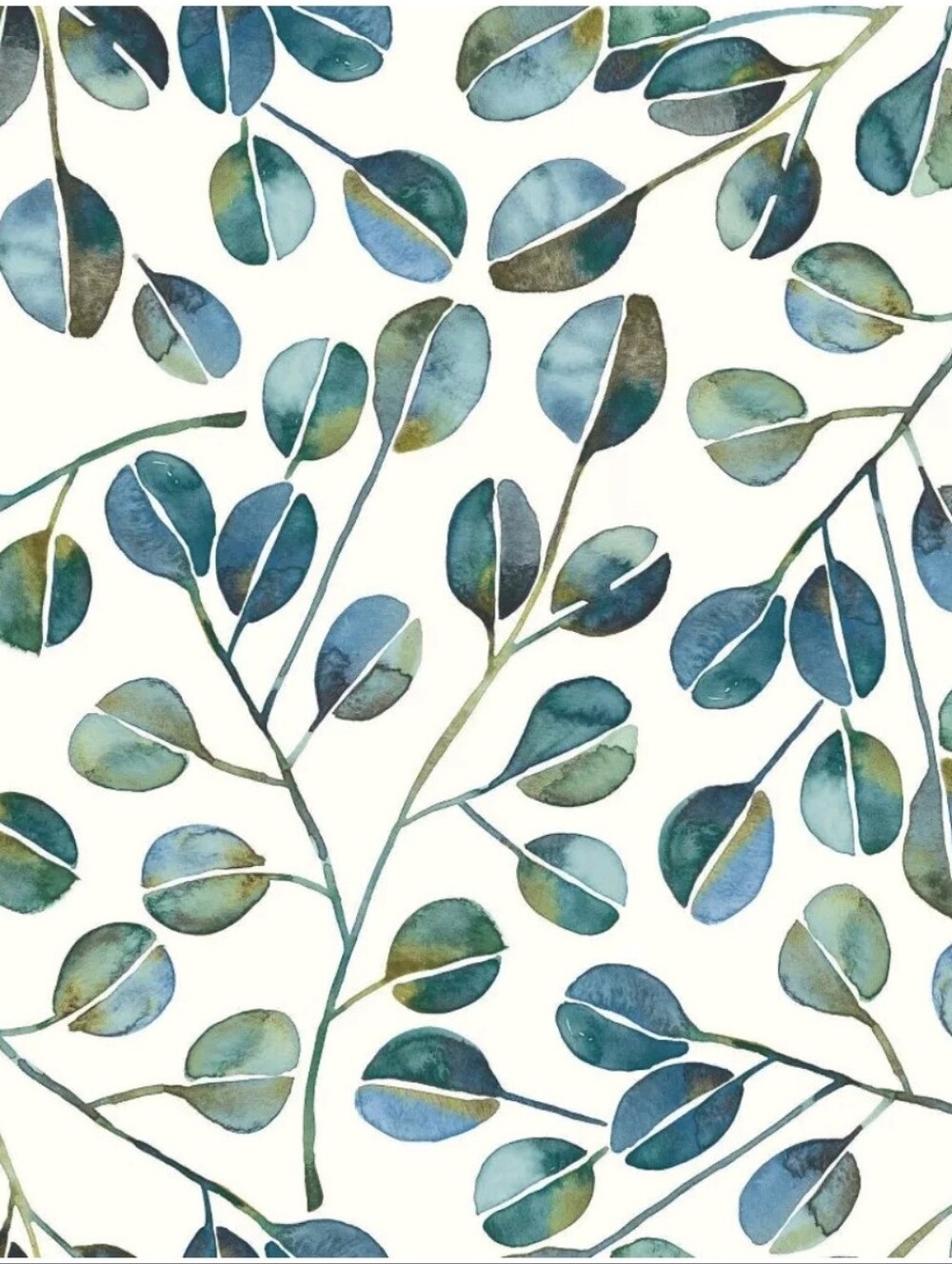 RoomMates Cat Coquillette Eucalyptus Peel and Stick Wallpaper Teal